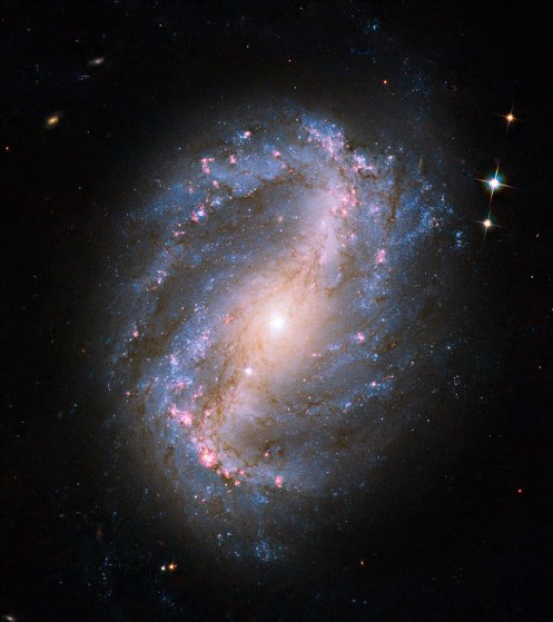 Barred Spiral Galaxy NGC 6217: This image is the first of a celestial object taken with the newly repaired Advanced Camera for Surveys (ACS) aboard the Hubble Space Telescope