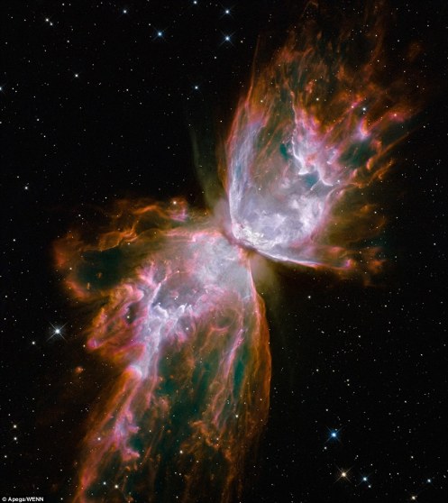 This celestial object - NGC 6302 - looks like a delicate butterfly but is far from serene: What resemble dainty butterfly wings are actually boiling cauldrons of gas heated to more than 36,000 degrees Fahrenheit